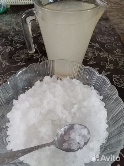 Индийский морской рис и кефирный гриб