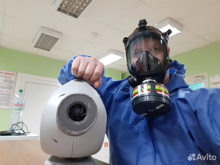 Уничтожение тараканов, клопов. Обработка участка