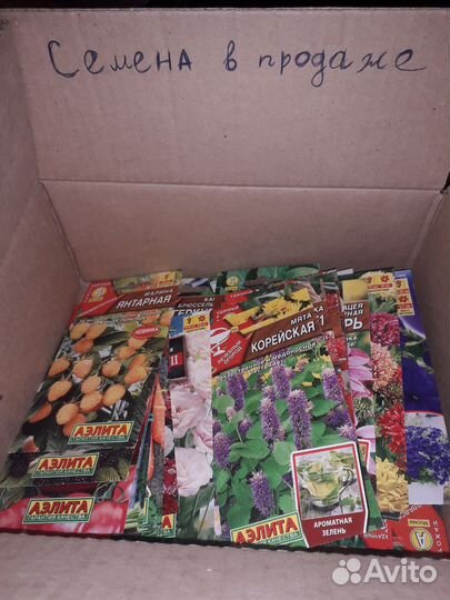 Семена в наличии