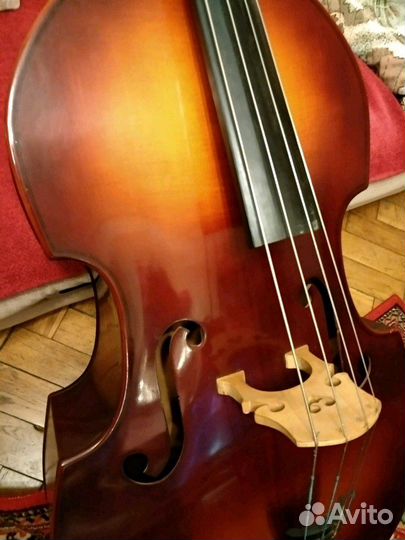 Контрабас Музима