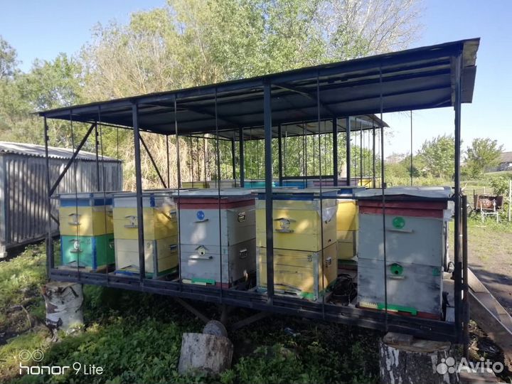 Улья двухьярусные 20 шт с пчелами и 2 прицепа