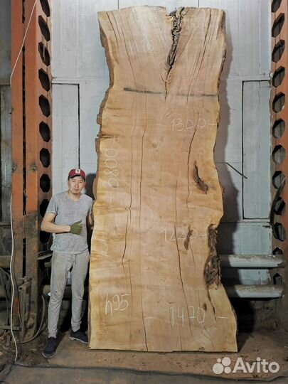 Слэбы из дерева, карагач, бук, граб, тополь