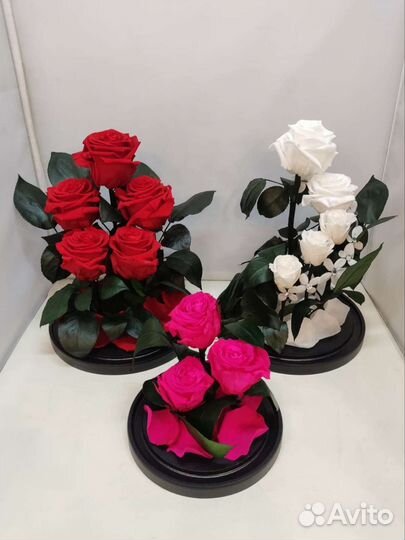 Роза в колбе/подарок