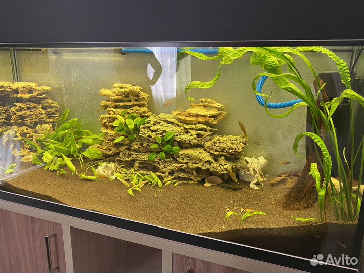 Аквариум