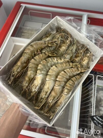 Тигровая креветка 16/20