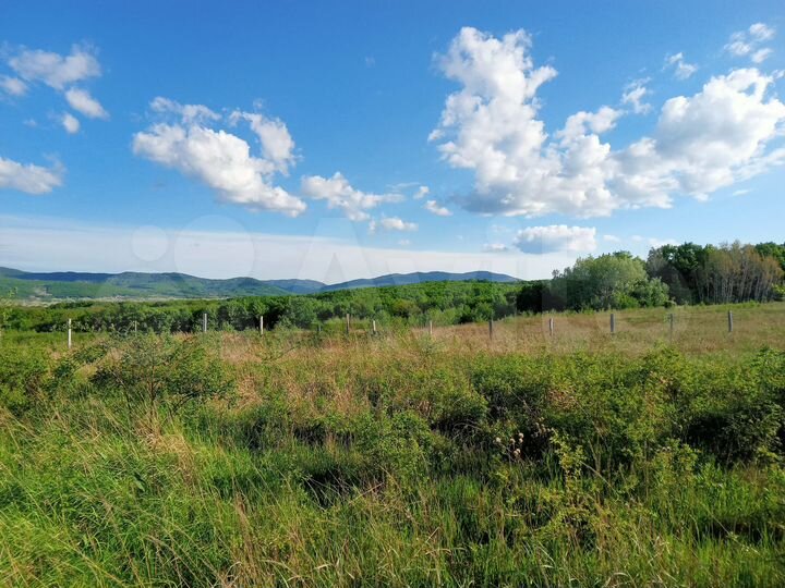 Участок 100 сот. (СНТ, ДНП)