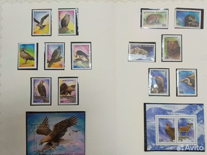 Почтовые марки редкие, Киргизия