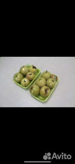 Картофель 18 рублей