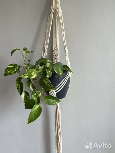 Макраме подвес для кашпо