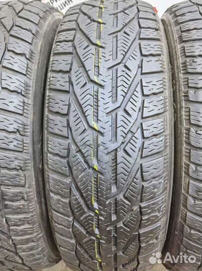 Tigar Winter 195/55 R15 91M