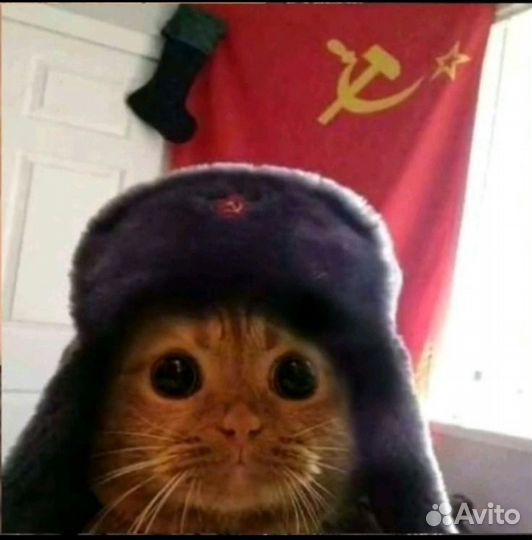 Тренер по бравл старс