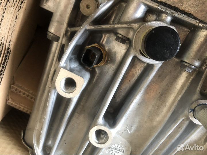 9838851480 новая Boxer Jumper