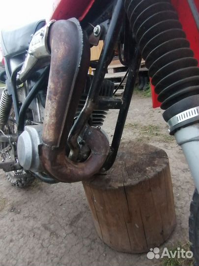 Минск кросс 3.221