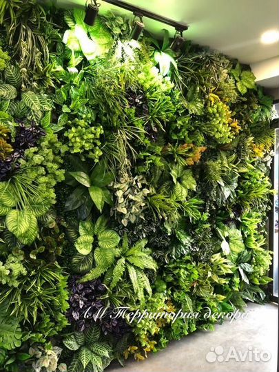 Ковры из зелени на стену тг DecorArea