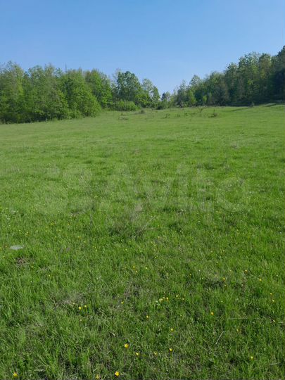 Участок 2 га (СНТ, ДНП)