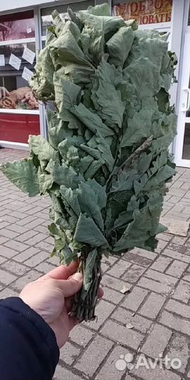 Веники для бани