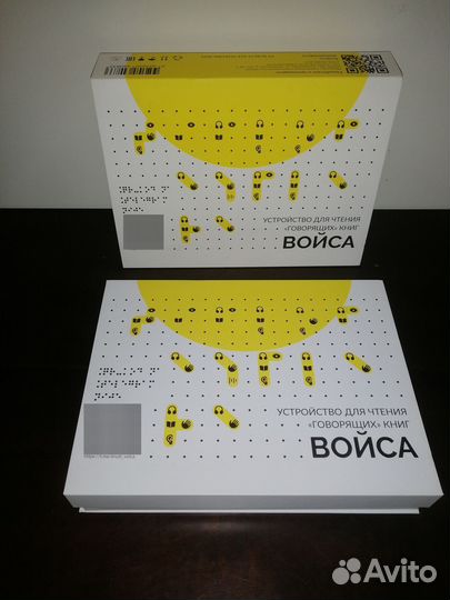 Тифлофлешплеер войса