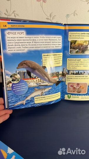 Детская энциклопедия Моря и Океаны