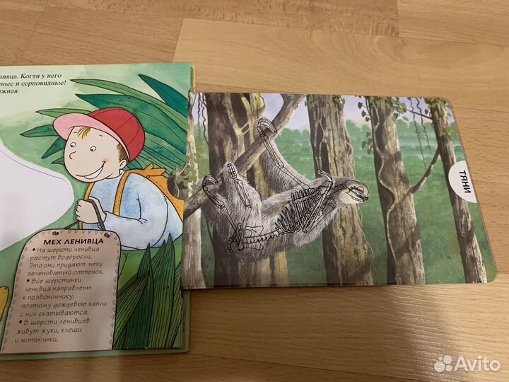 Животные тропического леса