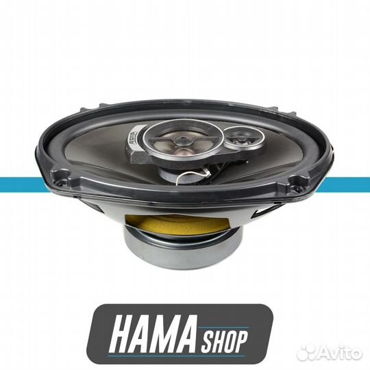 Динамики коаксиальные aria TL-6909P