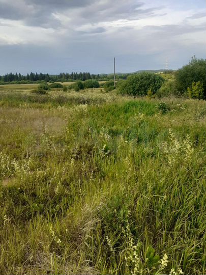 Участок 10 сот. (ИЖС)