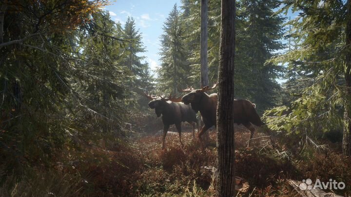 TheHunter: Call of the Wild / Охотник (Steam)