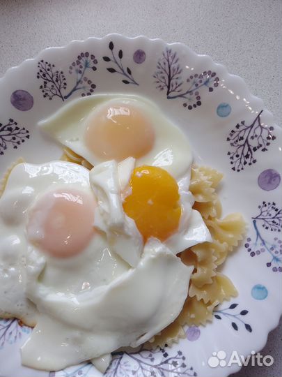 Домашние куриные яйца