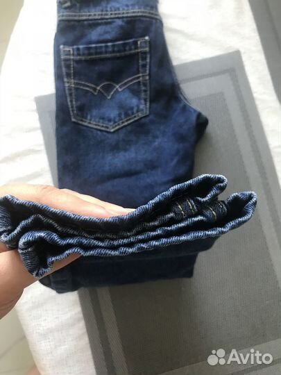 Орхидея брассия