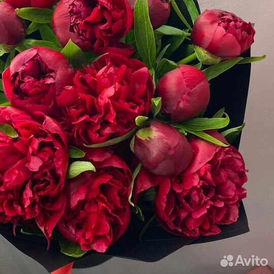 Букет из роскошных пионов