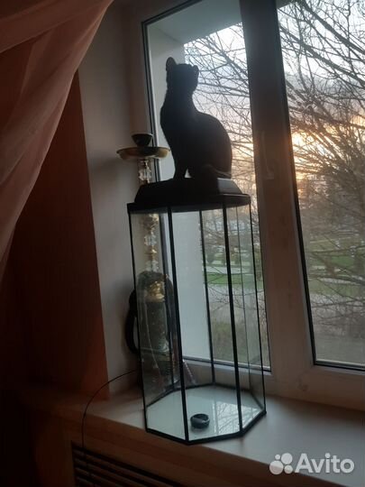 Аквариум рыбки