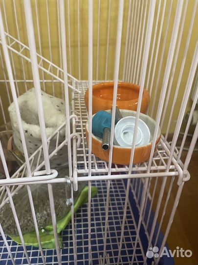 Клетка для грызунов крыс