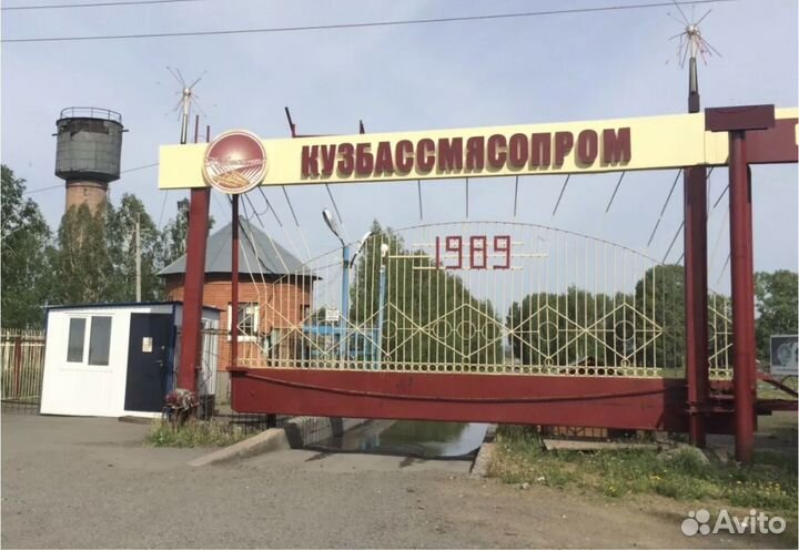 Продажа сельскохоз. комплекса (свинокомплекс)