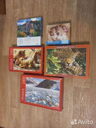 Пазлы 1000