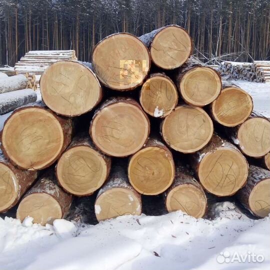Лес кругляк пиловочник