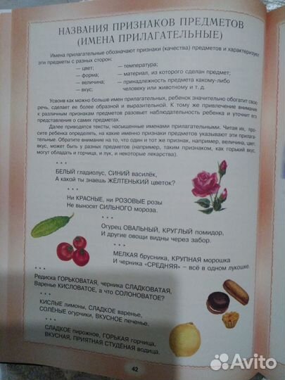 Книги по развитию речи дошкольников