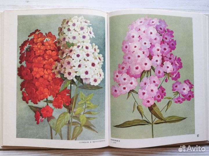 113 акварельных иллюстраций в винтажной книге