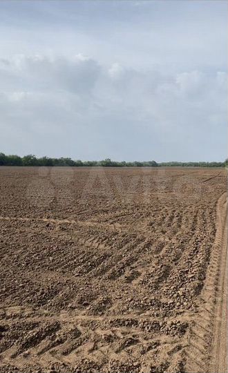 Участок 85 га (СНТ, ДНП)