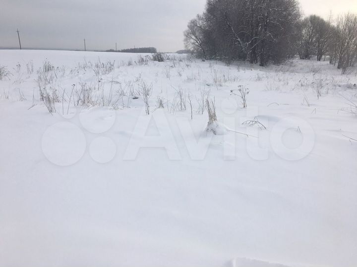 Участок 50 сот. (ИЖС)