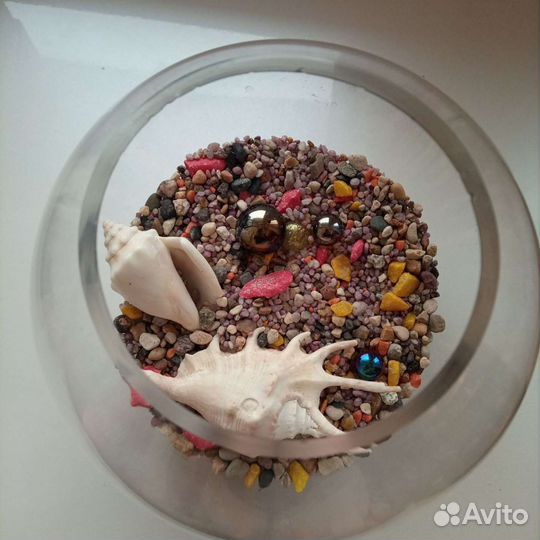 Аквариум- чаша, 2 л