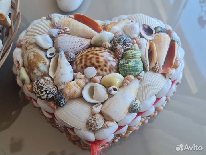 Морские ракушки