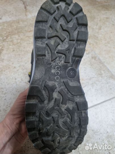 Сапоги ecco р35