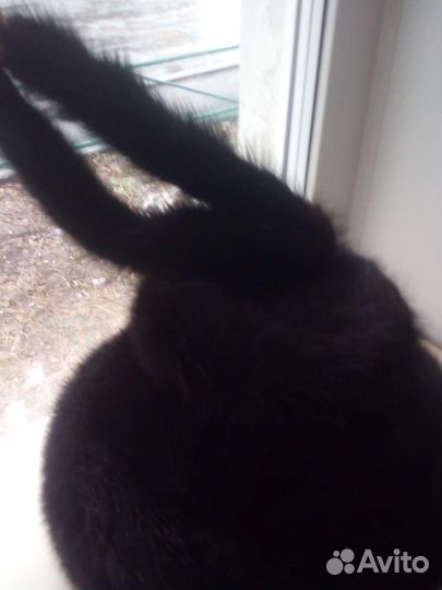 Шапка норковая женская