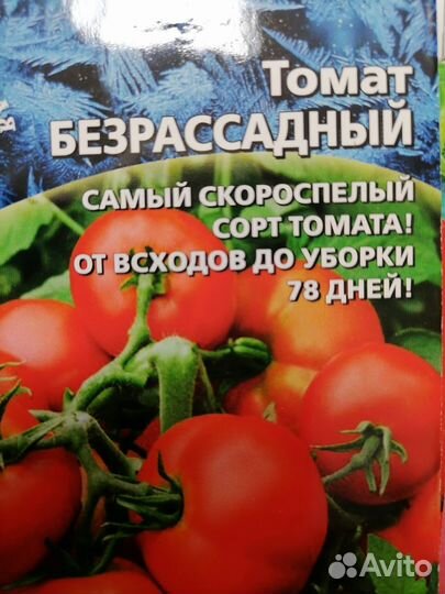 Семена помидоров томатов