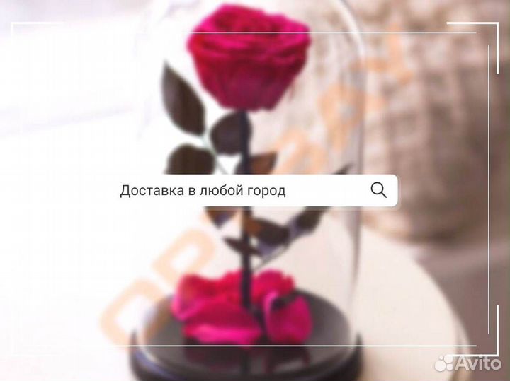 Роза в колбе