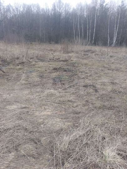 Участок 15 сот. (ИЖС)