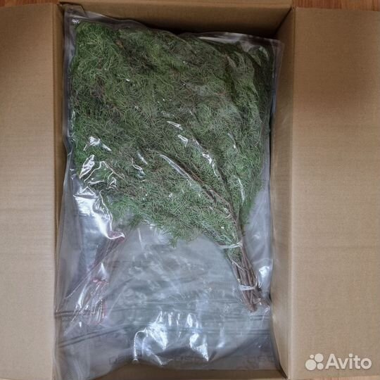 Набор можжевеловых веников 5 шт