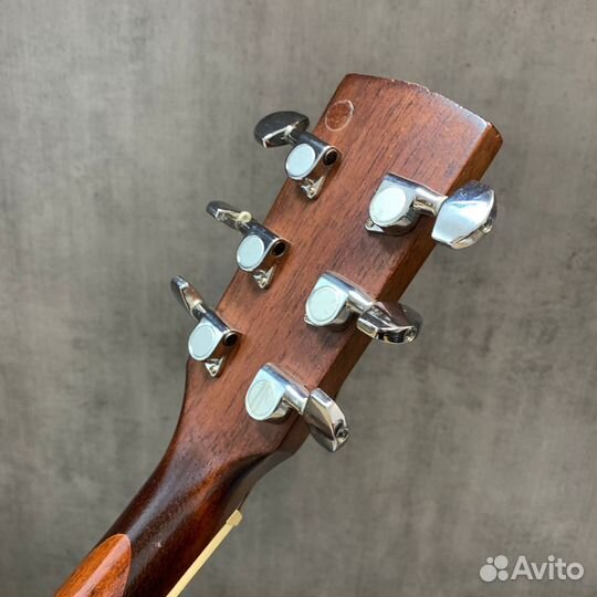 Гитара Parkwood W81E OP