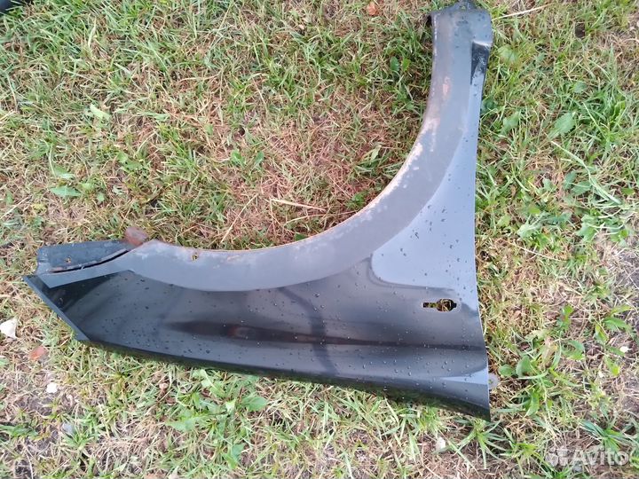 Крылья передние