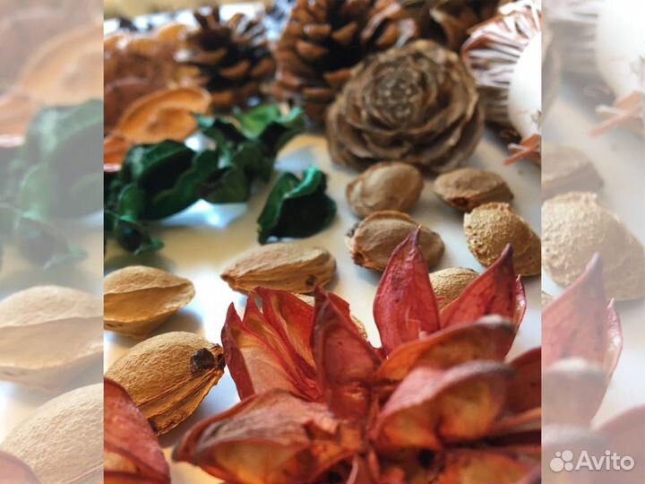 Набор природных материалов для творчества