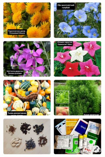 Семена цветов